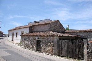 IMG_6625