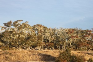 IMG_1449