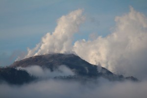 IMG_9074