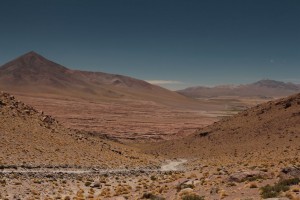 IMG_5729