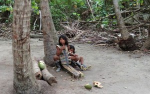 FILE 21 C TAYRONA NATIONAL PARK .. STILL SAN MARTH  (27)