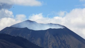 IMG_7646