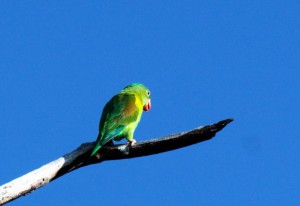 IMG_7859